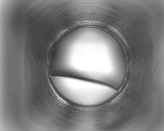 X0000068821033200605050937