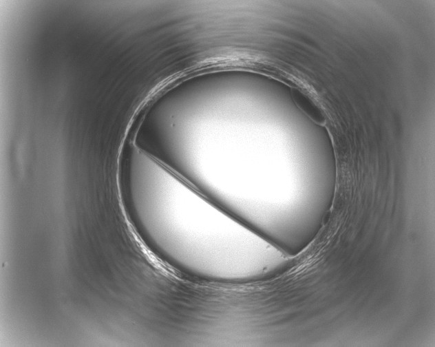 X0000068821034200605050937