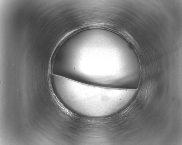 X0000068821036200605050937