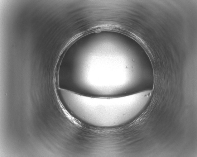 X0000068821042200605050937