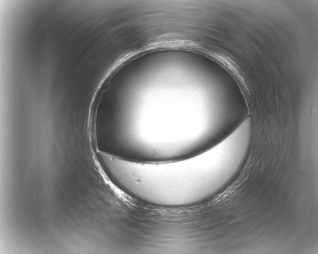 X0000068821046200605050937