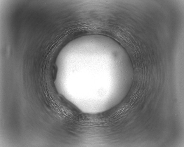 X0000068821057200605050936