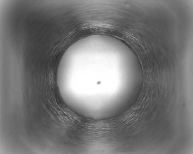 X0000068821061200605050936