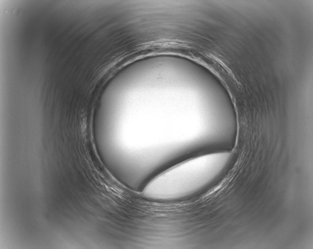 X0000068821065200605050936