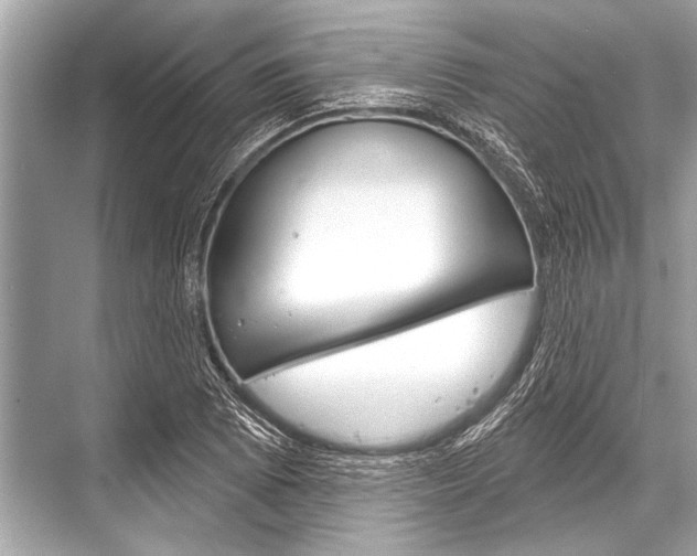 X0000068821073200605050936