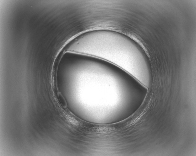 X0000068821077200605050936