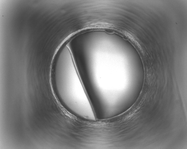 X0000068821085200605050936