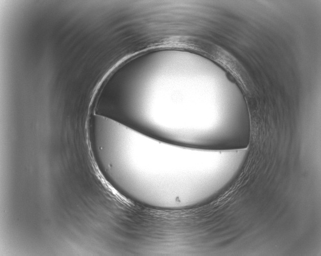 X0000068821092200605050936