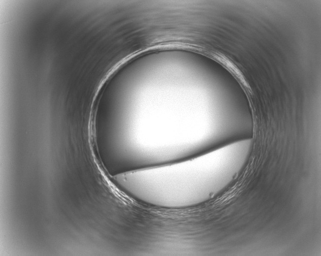 X0000068821101200605050936