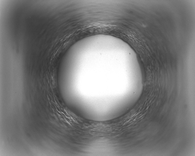 X0000068821109200605050935