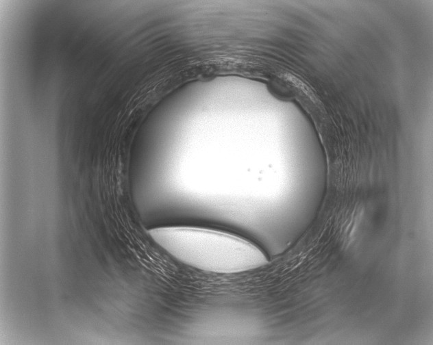 X0000068821111200605050935