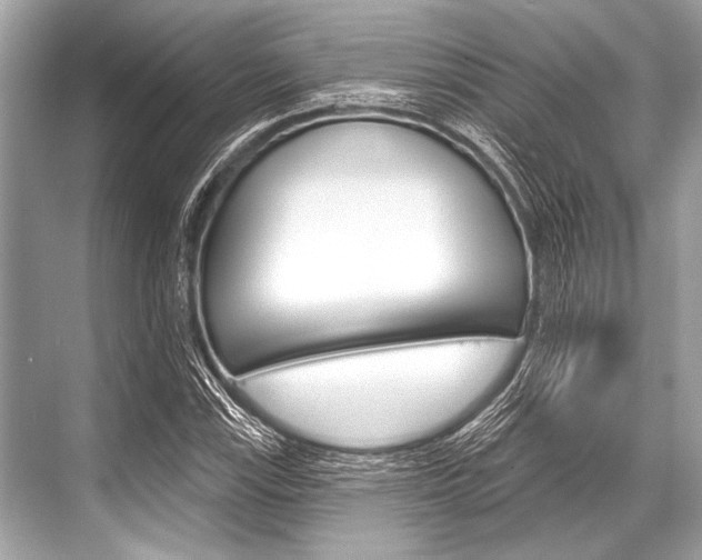 X0000068821115200605050935