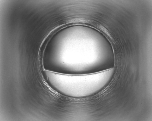 X0000068821116200605050935