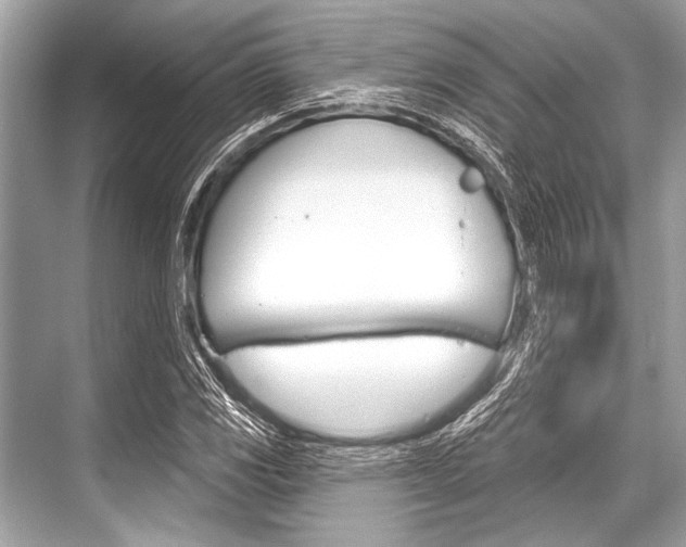 X0000068821117200605050935