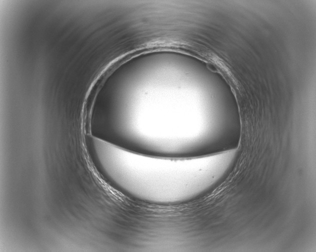 X0000068821124200605050935