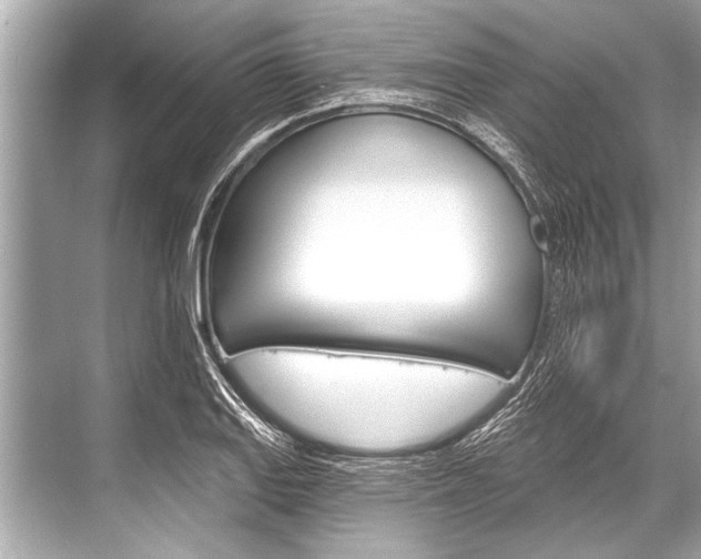 X0000068821127200605050935