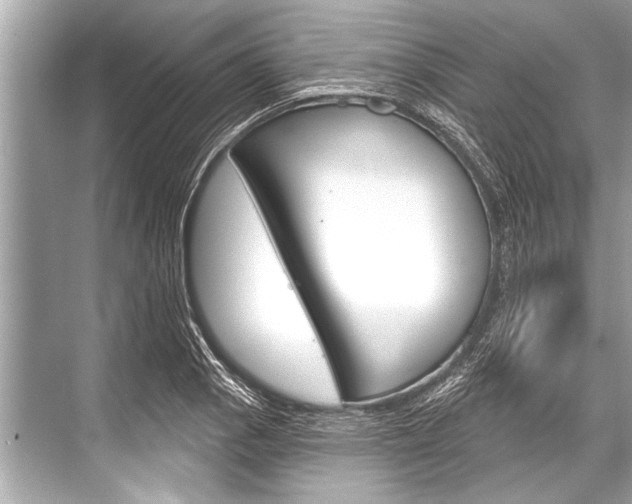 X0000068821129200605050935