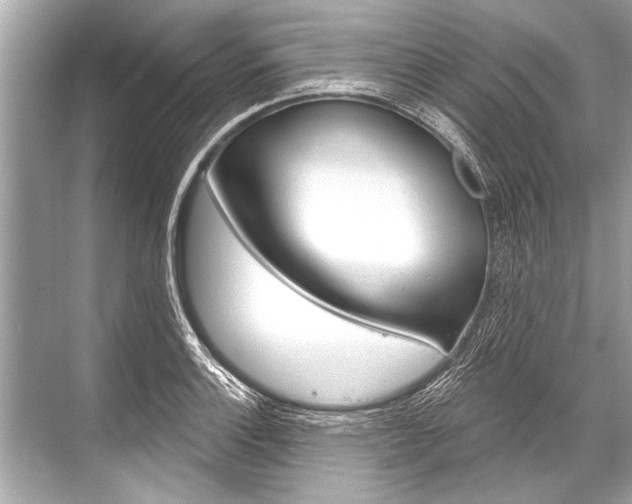 X0000068821132200605050935