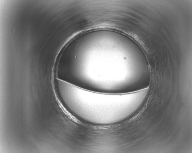 X0000068821134200605050935