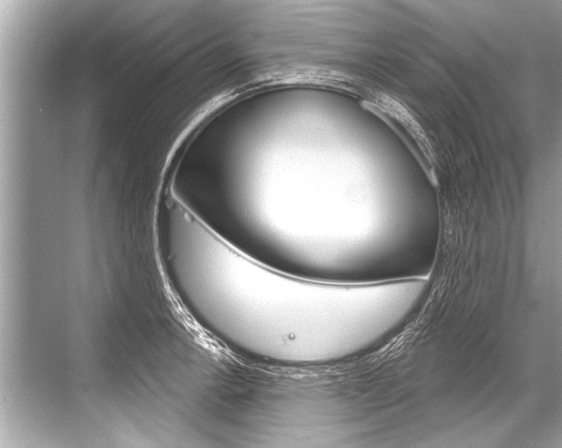 X0000068821138200605050935