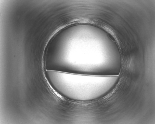 X0000068821141200605050935