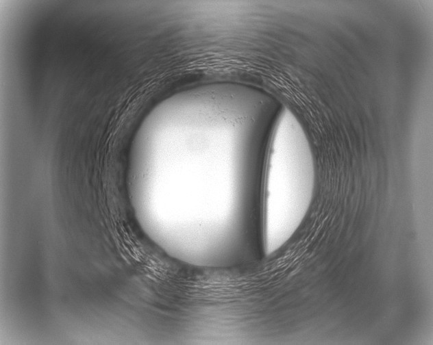 X0000068821153200605050935