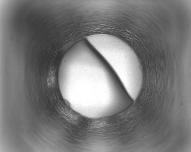 X0000068821154200605050935