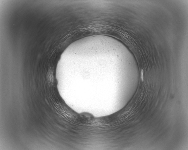 X0000068821155200605050935