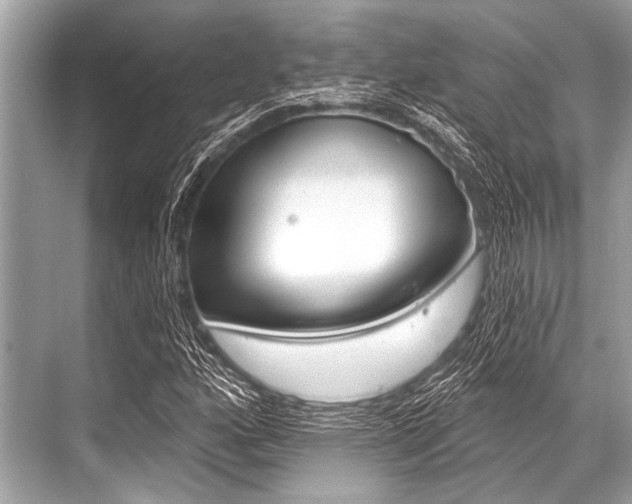 X0000068821160200605050935