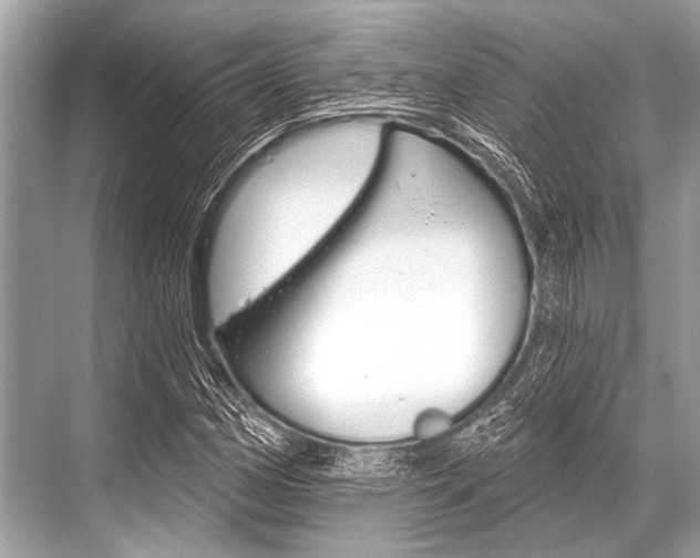 X0000068821162200605050935