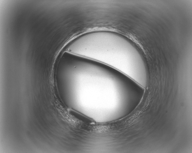 X0000068821173200605050935