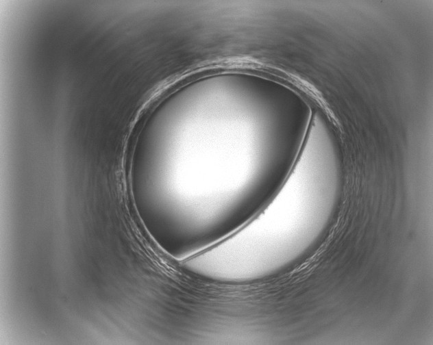 X0000068821176200605050934