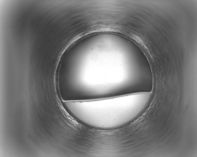 X0000068821181200605050934