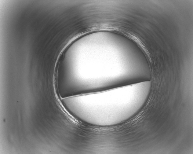 X0000068821187200605050934