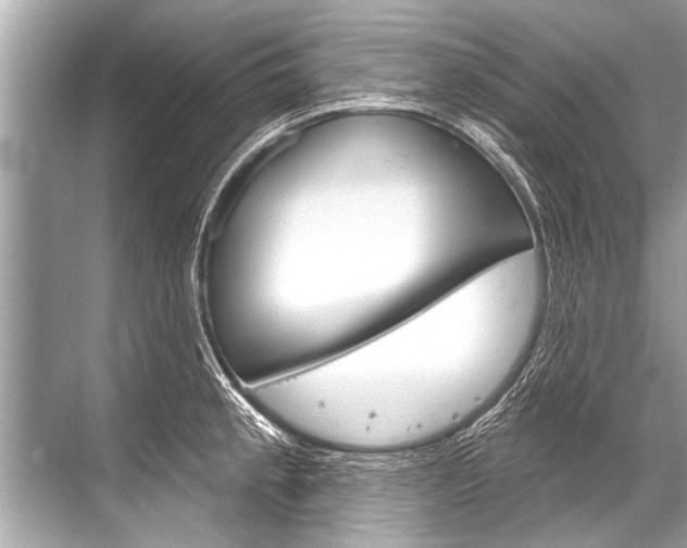 X0000068821189200605050934