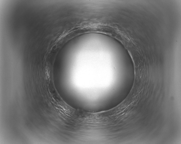 X0000068821206200605050933