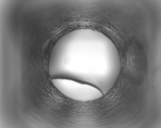 X0000068821207200605050933