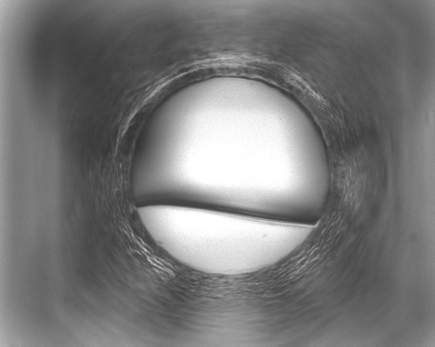 X0000068821208200605050933