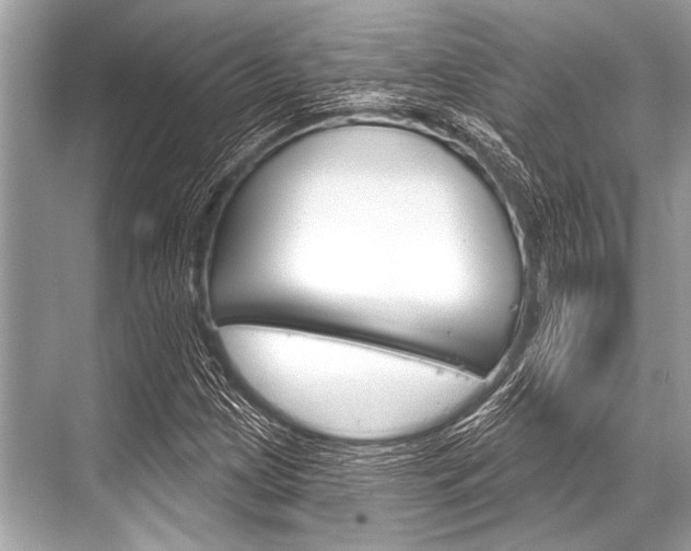 X0000068821209200605050933
