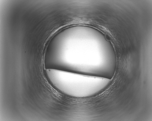 X0000068821220200605050934