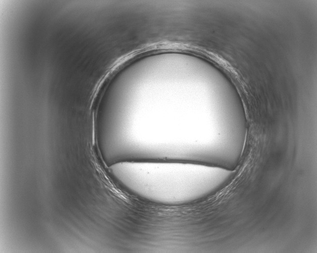 X0000068821223200605050934