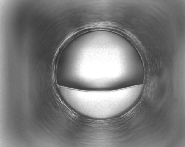 X0000068821224200605050934