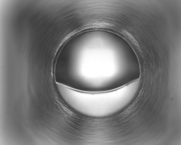 X0000068821226200605050934