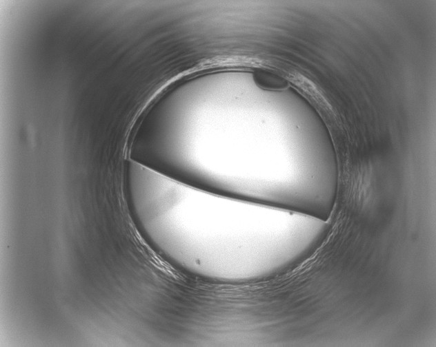 X0000068821228200605050934