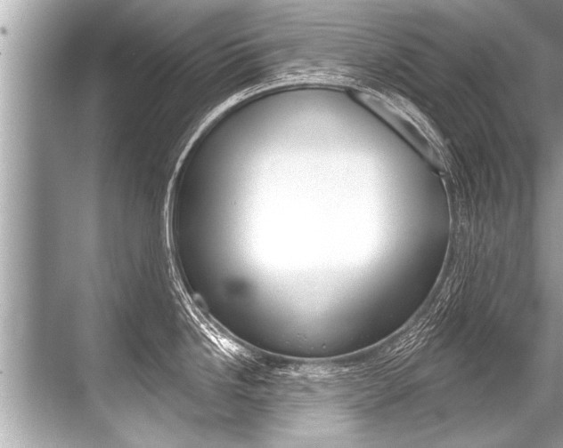 X0000068821246200605050934