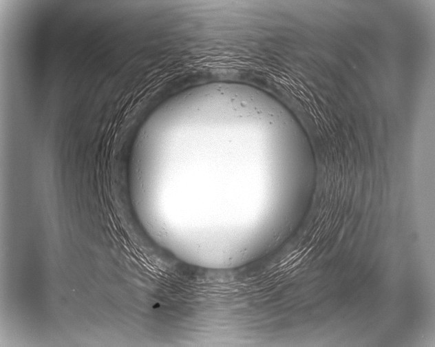 X0000068821249200605050933