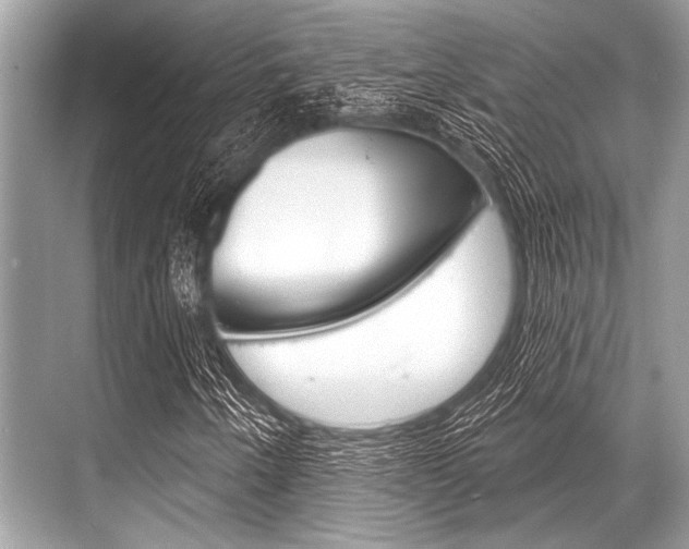 X0000068821250200605050933