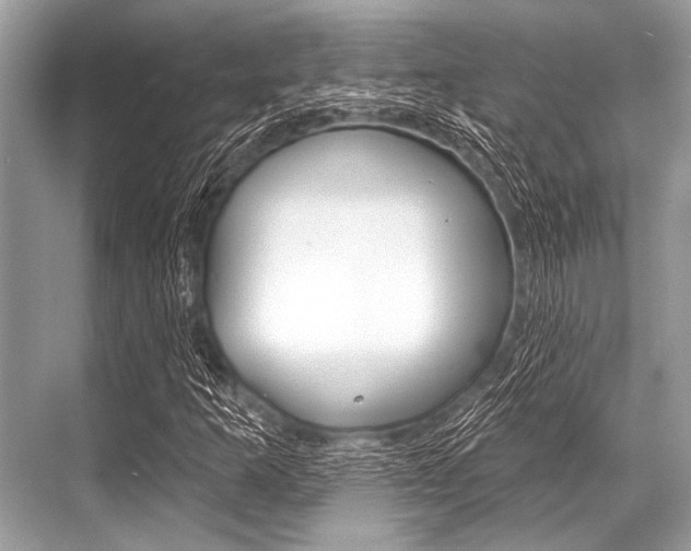 X0000068821253200605050933