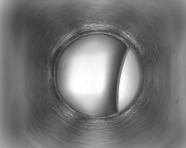 X0000068821261200605050933