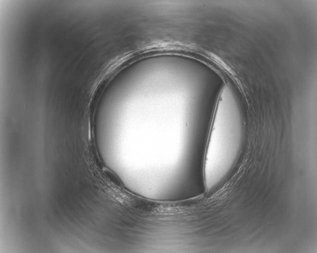 X0000068821269200605050933